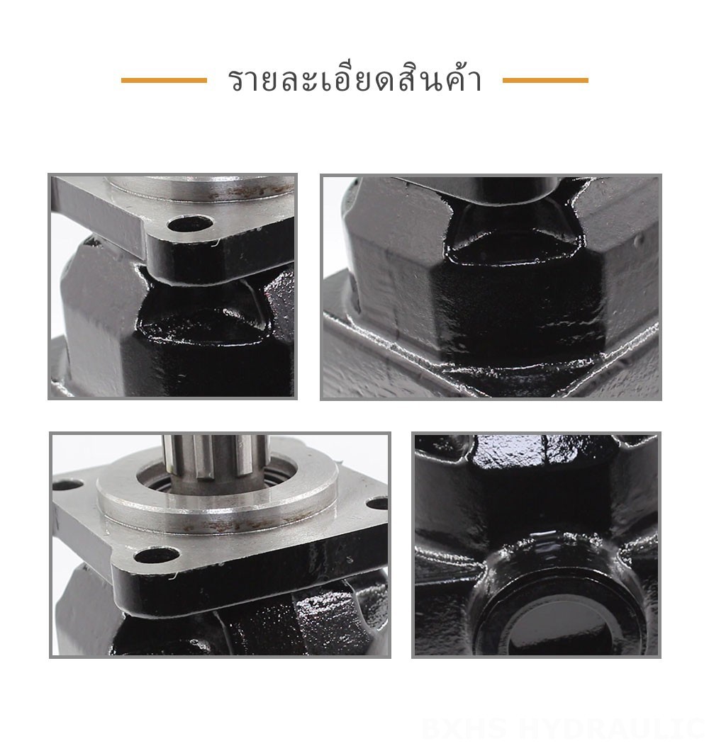 P6-40 40 cc/dev Hidrolik Piston Pompası