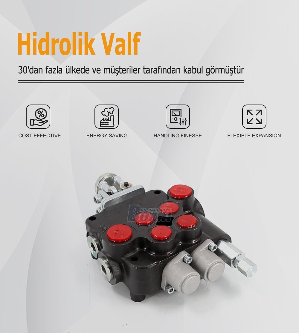Direct From Factory P80-U1-J2OT 2 Spool Directional Valve Wholesale