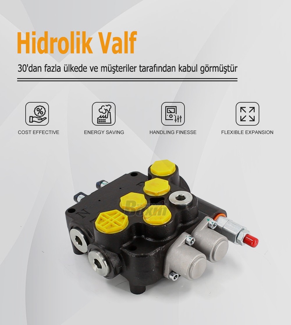 Direct Factory Wholesale P80A-G-BT-OT 2 Spool Control Valve