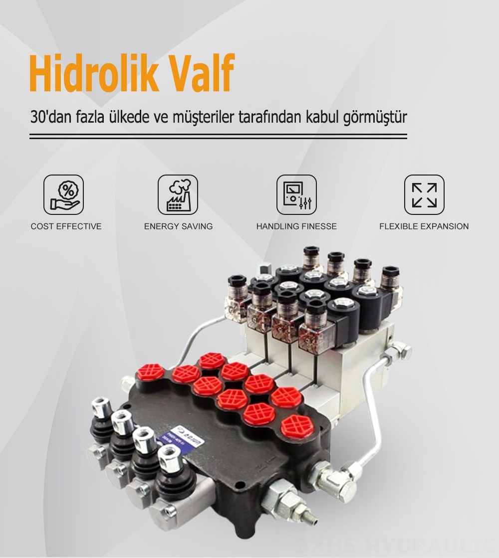 P80 Elektrohidrolik 4 Makara Monoblok Yönlendirmeli Vana