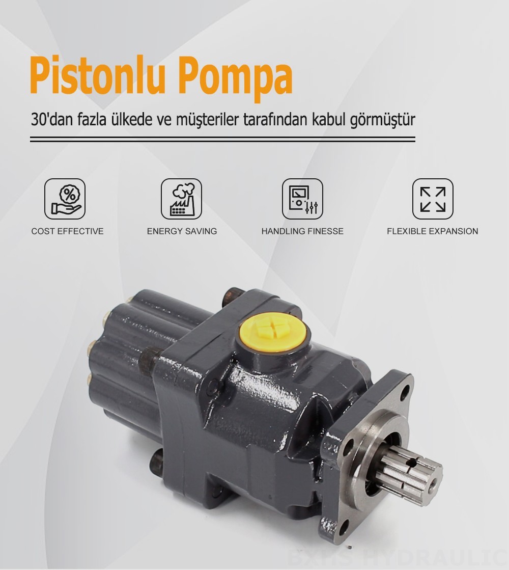P9-80-H 80 cc/dev 20 MPa (2900 psi) Hidrolik Piston Pompası