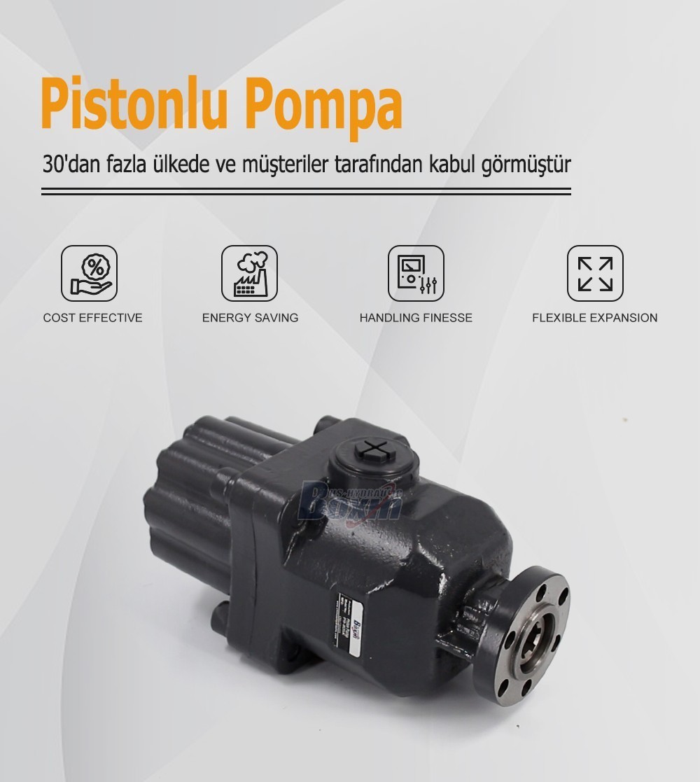 Heavy Duty P9-80SK 80cc Rev Hydraulic Piston Pump