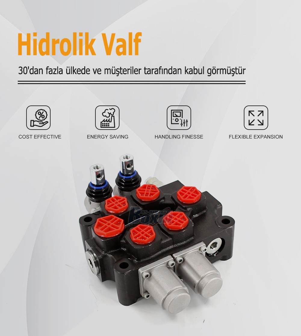 Q75 Manual 2 Spool Monoblock Valve for Mobile Hydraulics