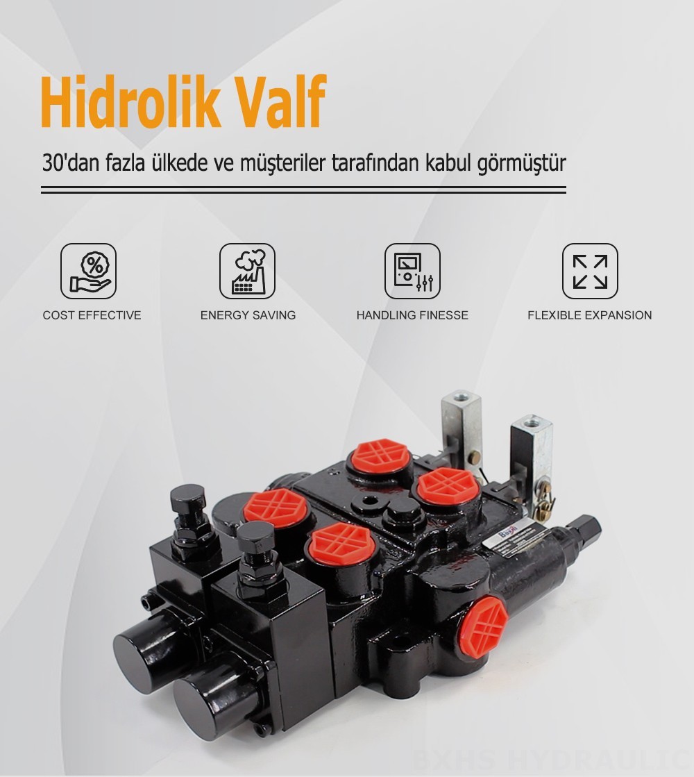 RD5200-OU2 Manuel 2 Makara Hidrolik Kontrol Vanası