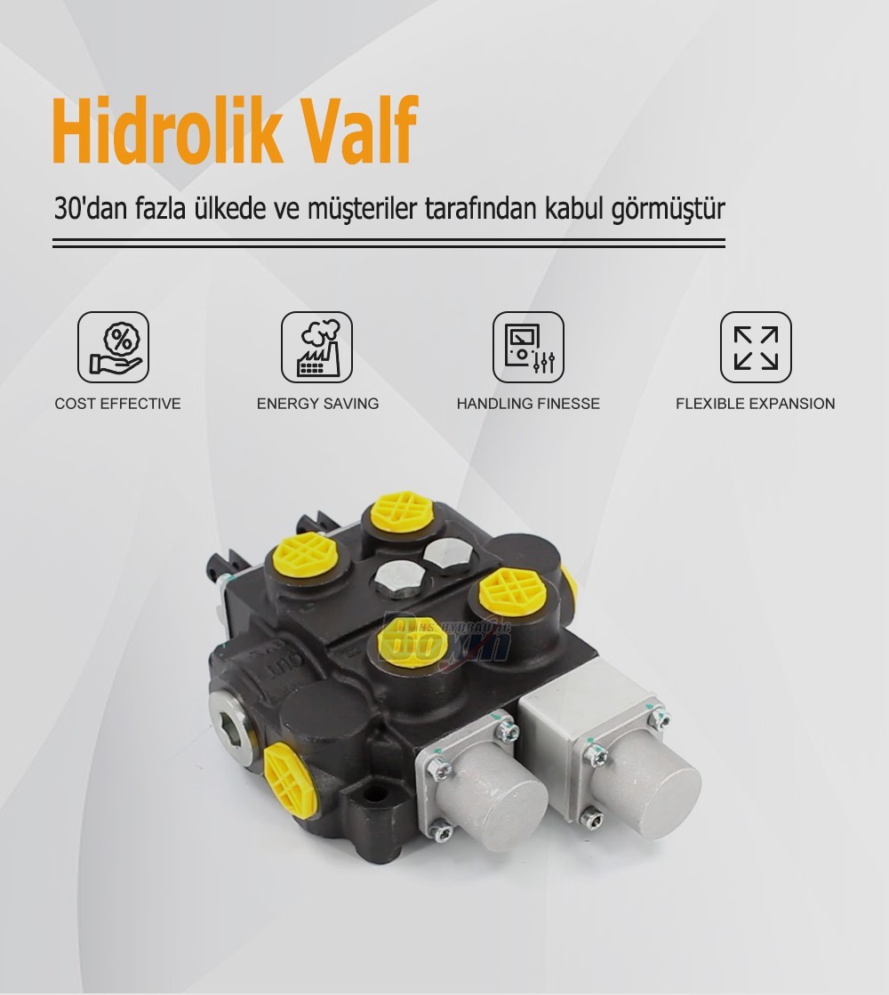 Industrial Grade RD5200NPT-QTW-OT Manual Hydraulic Valve with NPT Ports
