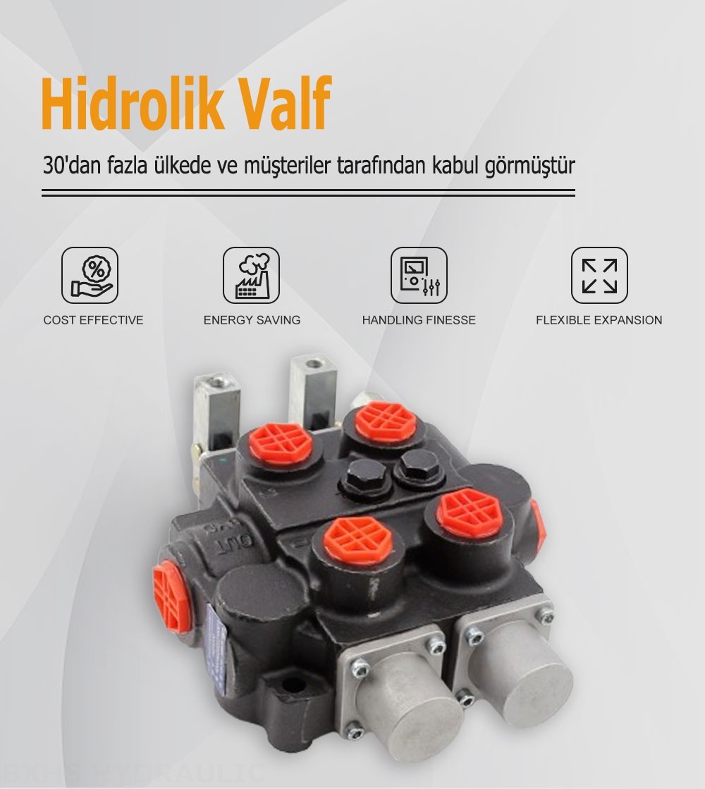 RD5200 Manuel 2 Makara Hidrolik Kontrol Vanası