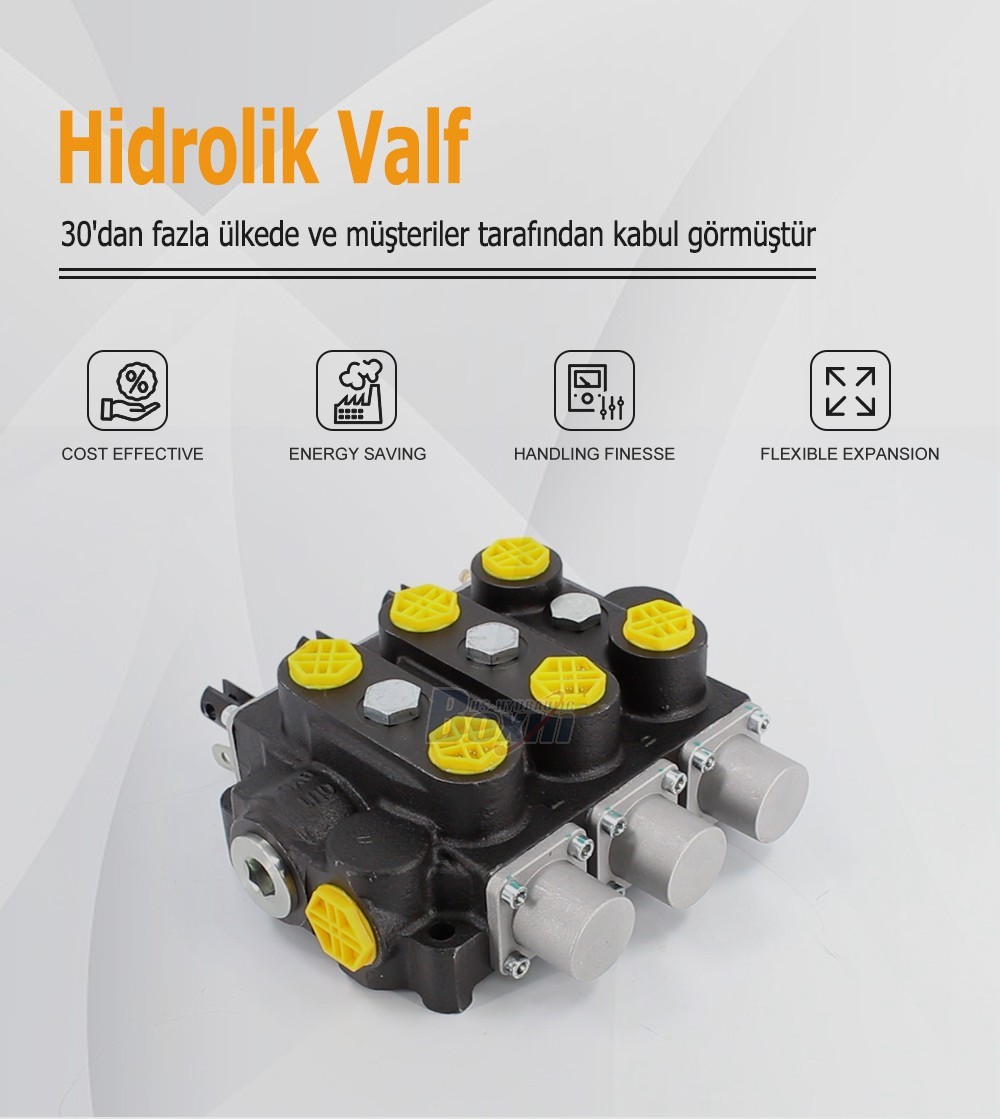 Factory Source RD5300NPT-3OT 3 Spool Manual Hydraulic Valve for Global Market