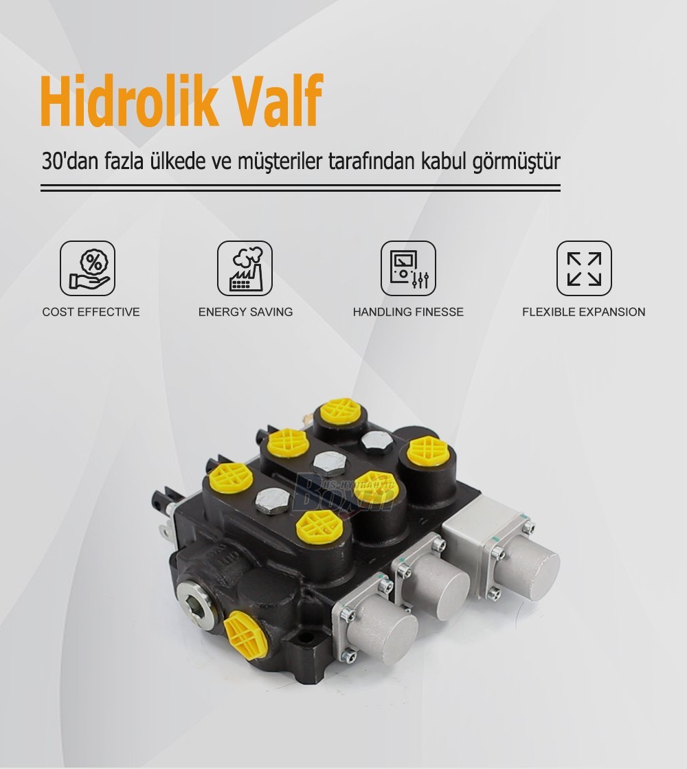Seeking Global Distributors and Wholesalers for RD5300NPT-QTW-2OT Hydraulic Valves