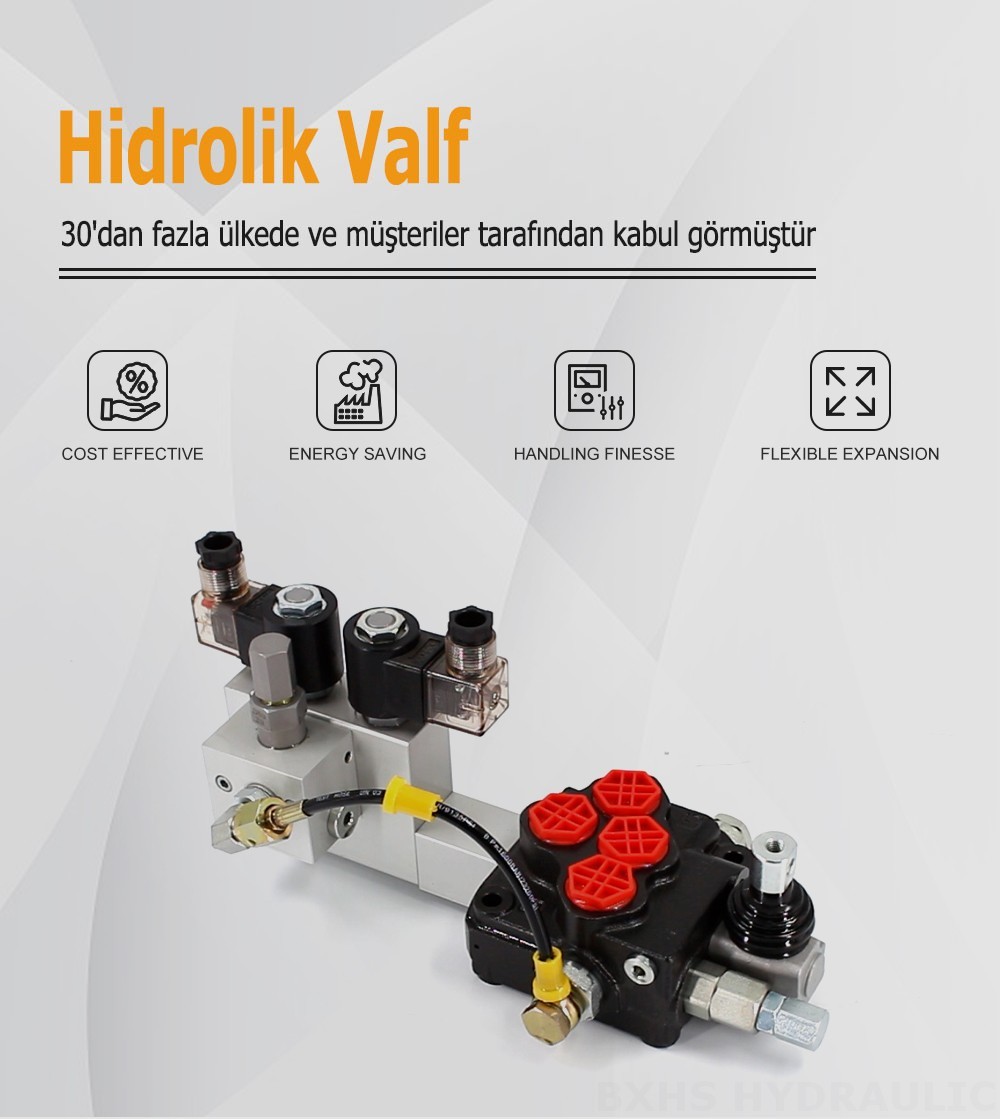 SD5 Elektrohidrolik 1 Makara Monoblok Yönlendirmeli Vana