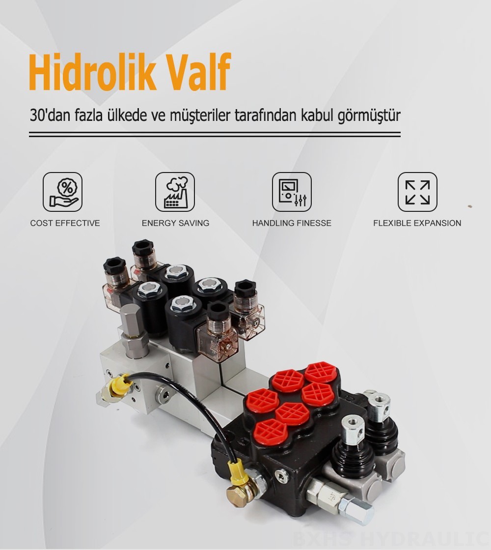 SD5 Elektrohidrolik 2 Makara Monoblok Yönlendirmeli Vana