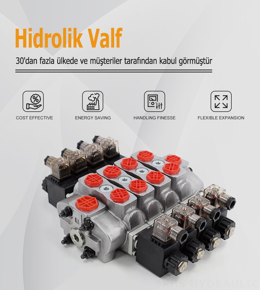 SD8 Selenoid 4 Makara Kesitsel Yönsel Valf