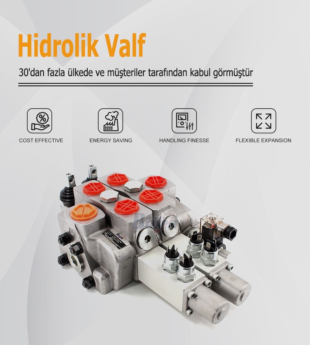 OEM and ODM Services for SDS180-PG2-2OTDD Manual 2 Spool Sectional Valve
