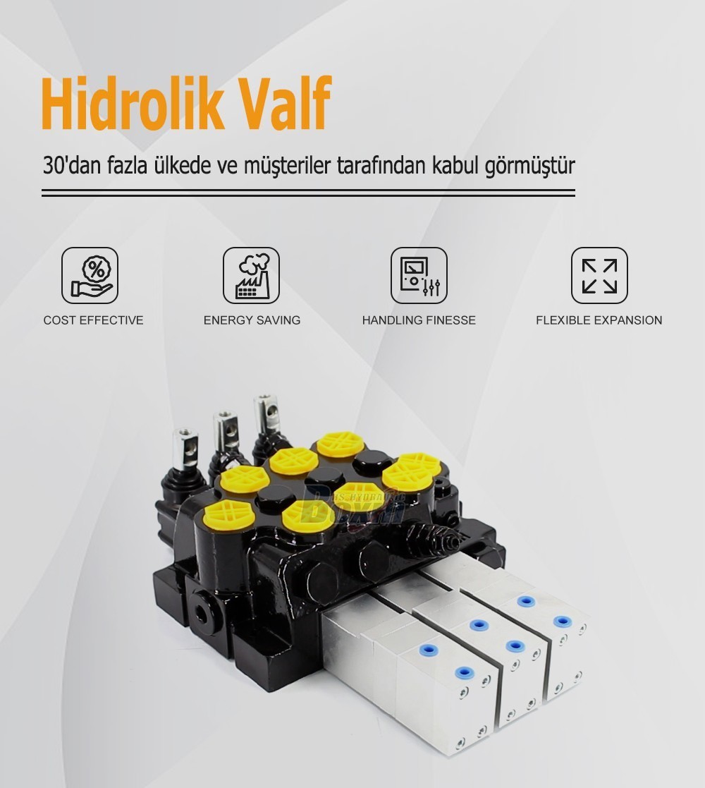 OEM and Private Label Services for WZF-125 3 Spool Monoblock Valves