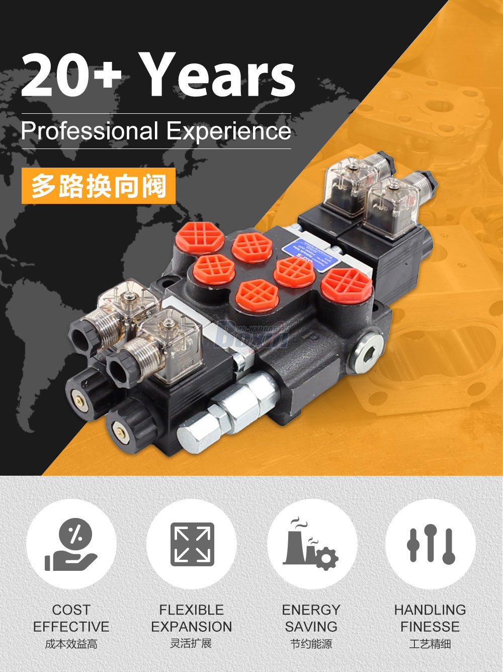 Contract Manufacturing for P40 Solenoid 2 Spool Monoblock Directional Valves