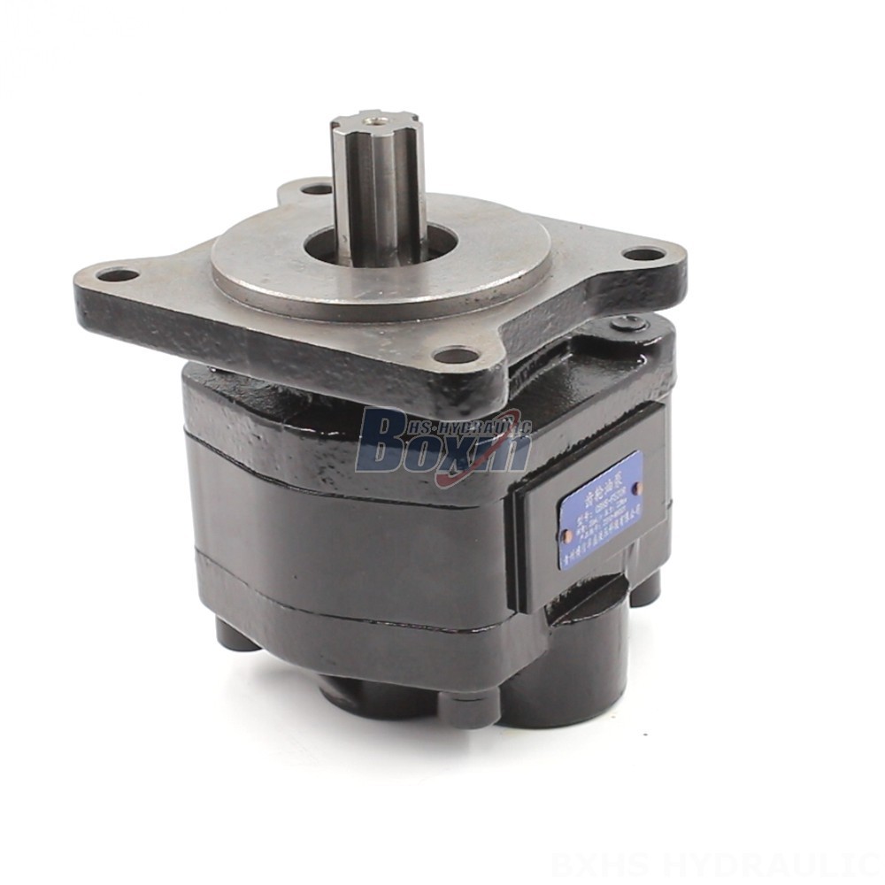 20 cc/rev Hydraulic Gear Pump: OEM & ODM Services Available main image