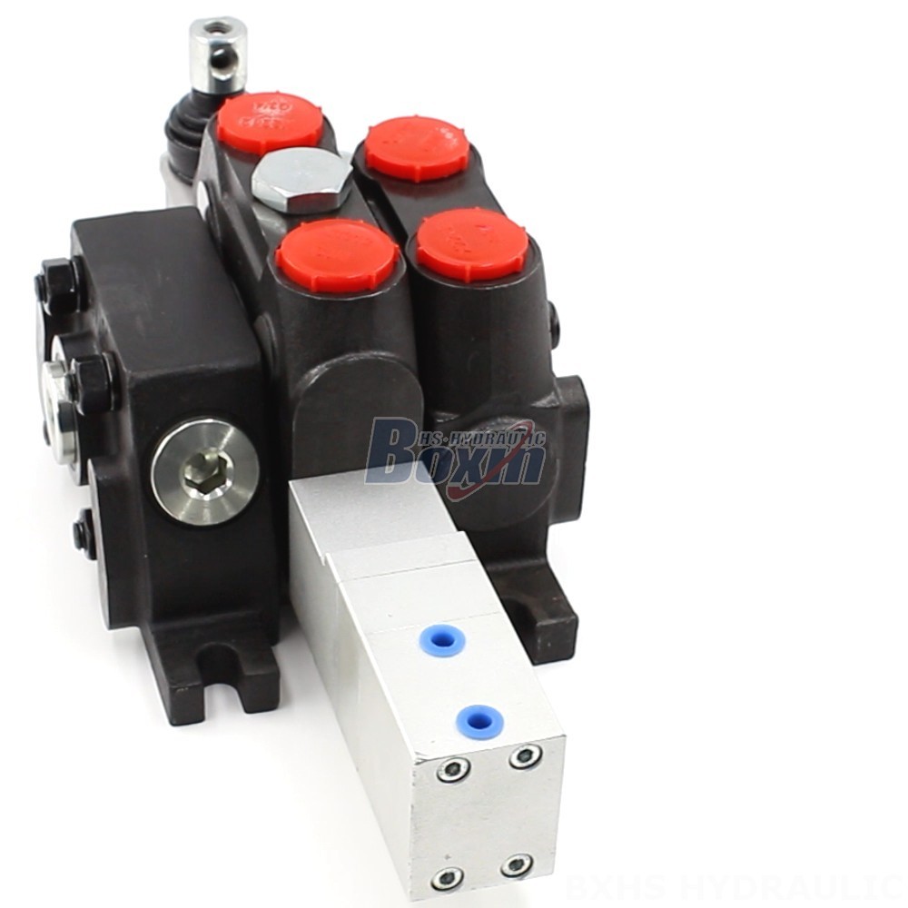 Bespoke Pneumatic Solutions: Customizable DCV100 Directional Control Valves main image