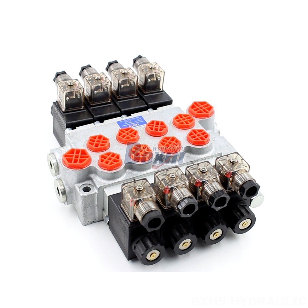 OEM & Private Label Services: Customize P40-DKL Valves to Your Brand main image