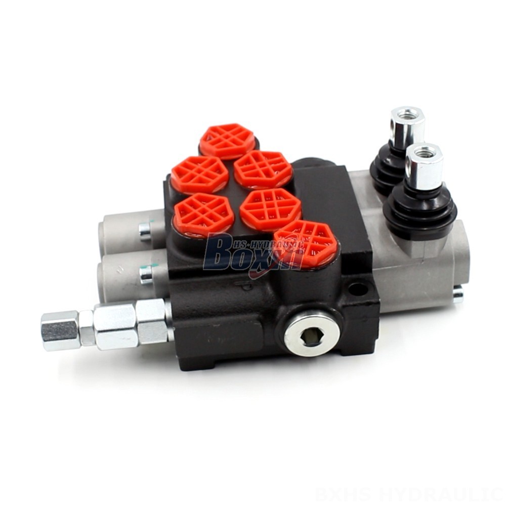 Tailor-made Hydraulic Valves: OEM & ODM Manufacturing for P40-G12 Series main image