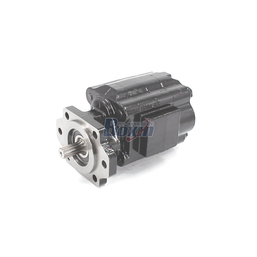 Professional Production of P51A646TEYR25-25 Hydraulic Gear Pump main image